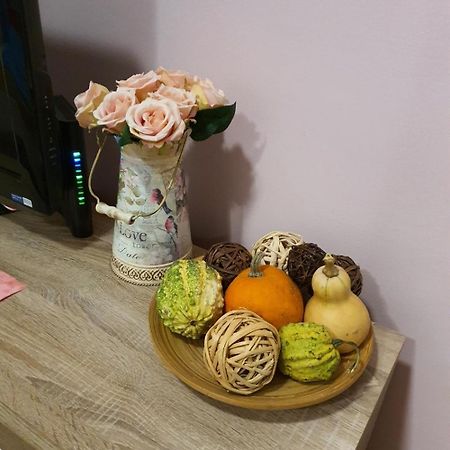 Studio Apartman Ld U Strogom Centru Novi Sad Exteriör bild